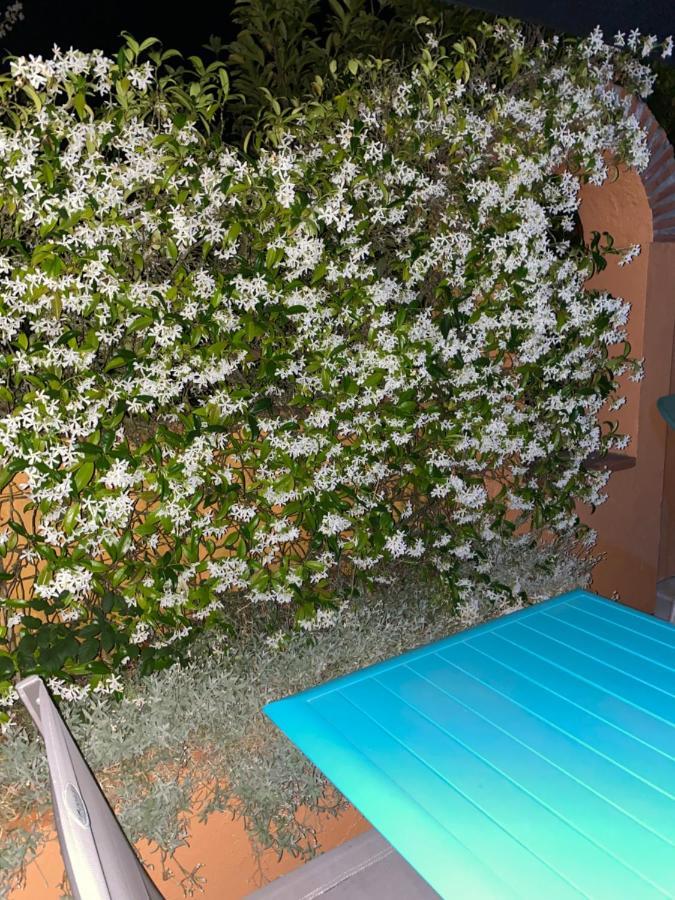 Domaine Des Deux Rivieres Bed & Breakfast Meilhan-sur-Garonne Exterior foto