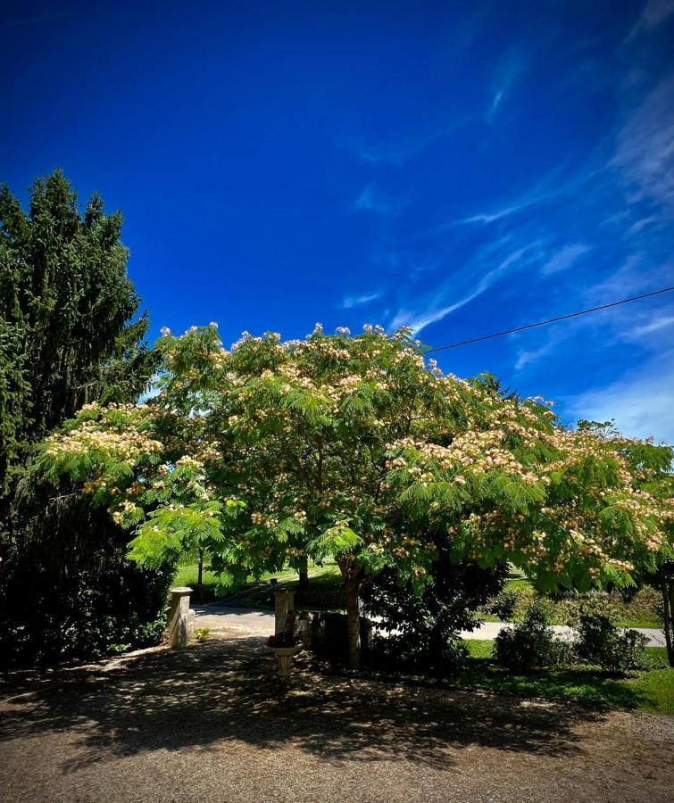 Domaine Des Deux Rivieres Bed & Breakfast Meilhan-sur-Garonne Exterior foto